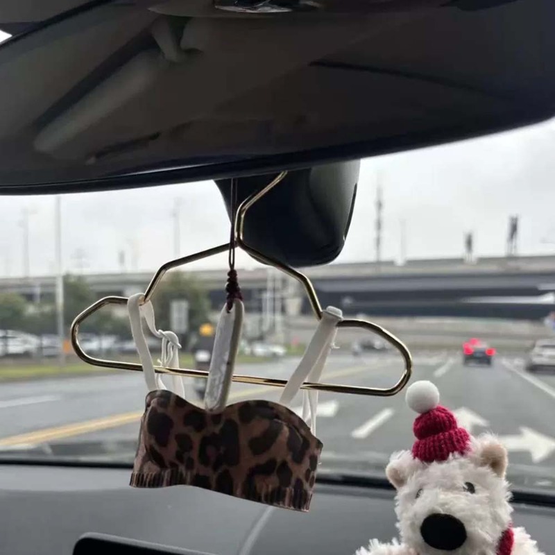 Mini Lingerie Car Ornament, Cu - Interior Design Years ulasan dan harga
