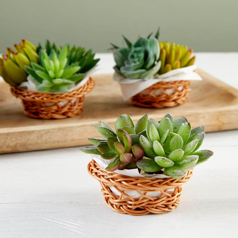 Mini Woven Basket Set - 3.1 x  - Woven Basket Set ulasan dan harga