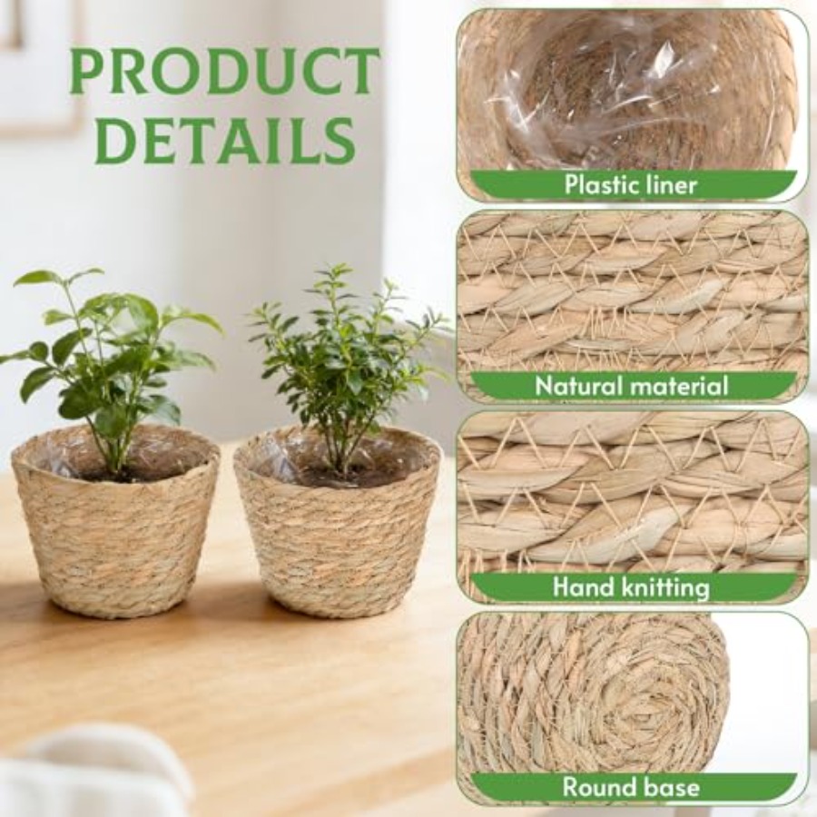 10 PCS Seagrass Plant Baskets  - Woven Basket Set ulasan dan harga